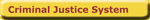 Criminal Justice System